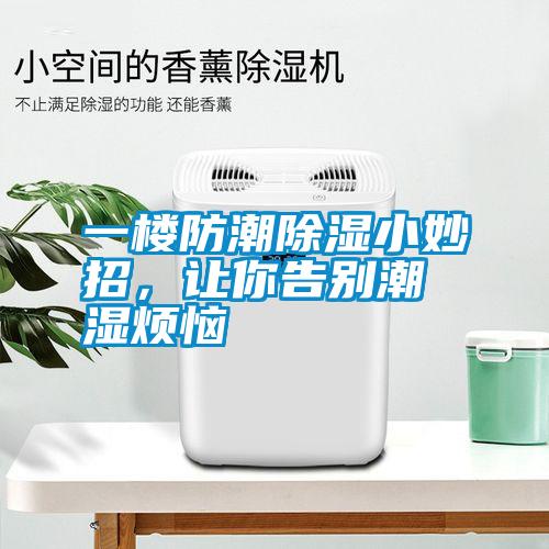 一樓防潮除濕小妙招，讓你告別潮濕煩惱
