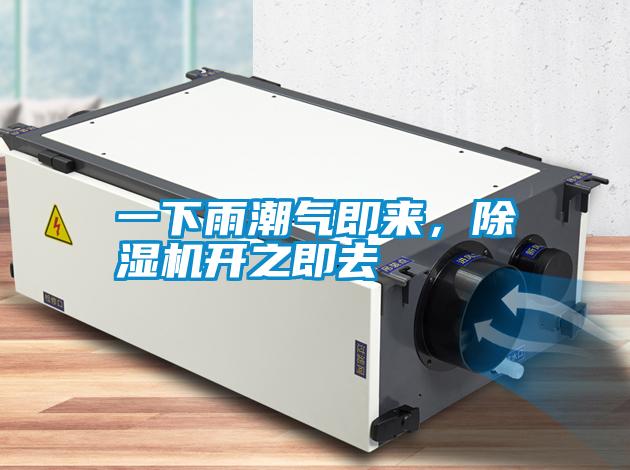 一下雨潮氣即來，除濕機開之即去