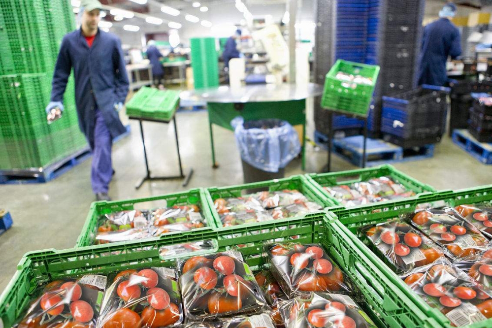 1523690490896745.jpg 1523690490896745.jpg