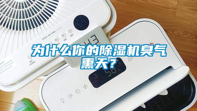 為什么你的除濕機臭氣熏天？