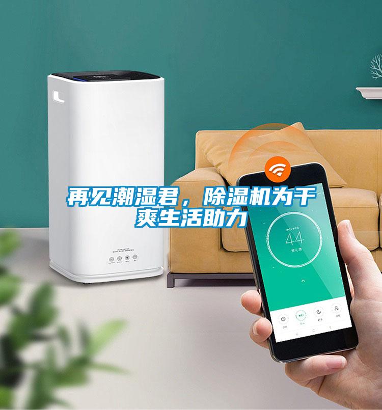再見潮濕君,除濕機(jī)為干爽生活助力