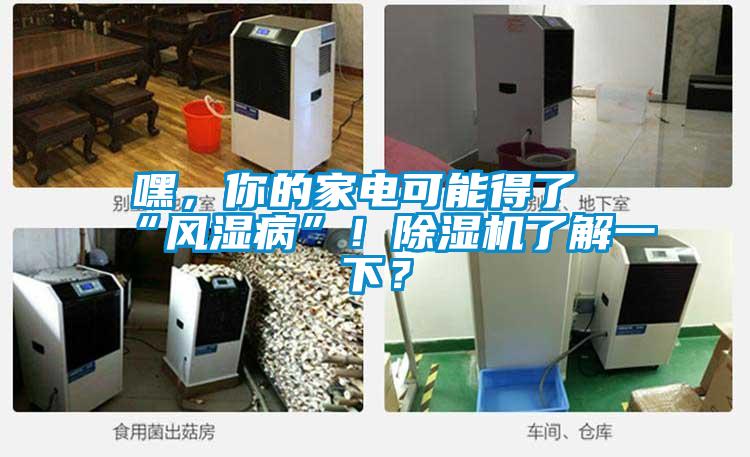 嘿，你的家電可能得了“風(fēng)濕病”！除濕機(jī)了解一下？