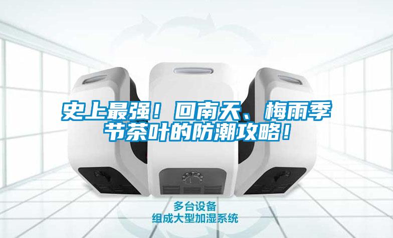 史上最強！回南天、梅雨季節茶葉的防潮攻略！