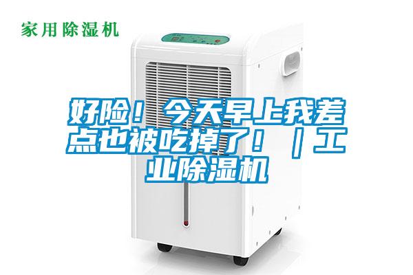 好險！今天早上我差點也被吃掉了！｜工業除濕機