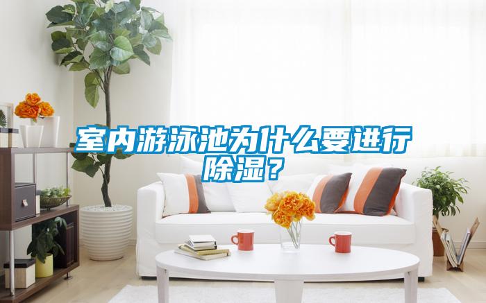 室內游泳池為什么要進行除濕？