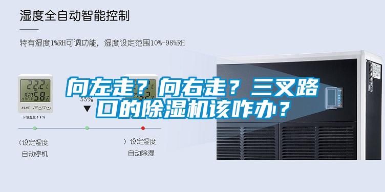 向左走？向右走？三叉路口的除濕機該咋辦？