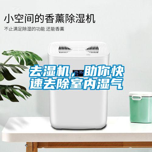 去濕機，助你快速去除室內濕氣