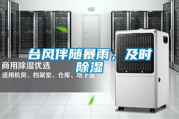 臺風伴隨暴雨，及時除濕