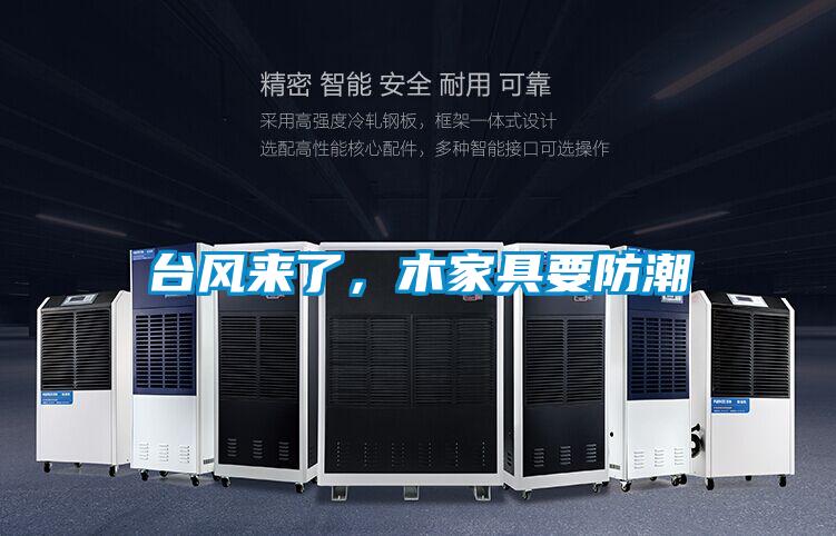 臺風來了，木家具要防潮