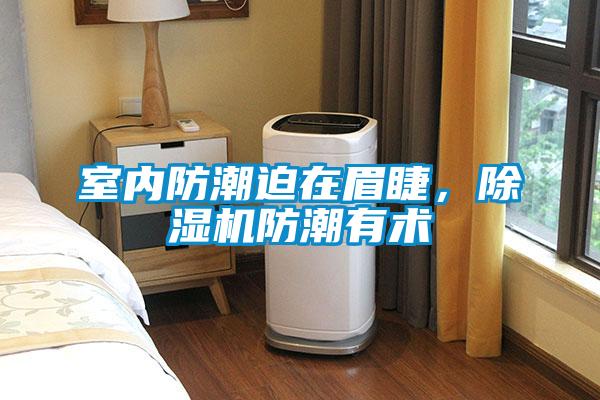室內防潮迫在眉睫,除濕機防潮有術