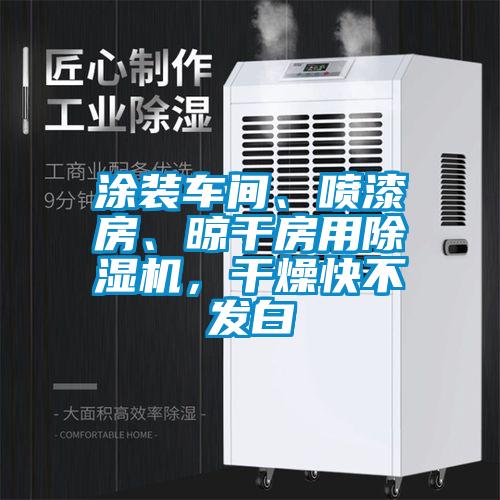 涂裝車間、噴漆房、晾干房用除濕機(jī),干燥快不發(fā)白