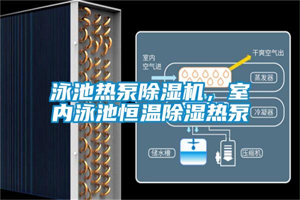 泳池?zé)岜贸凉駲C,室內(nèi)泳池恒溫除濕熱泵