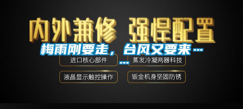梅雨剛要走，臺(tái)風(fēng)又要來……
