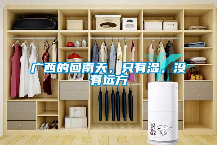 廣西的回南天，只有濕，沒有遠(yuǎn)方