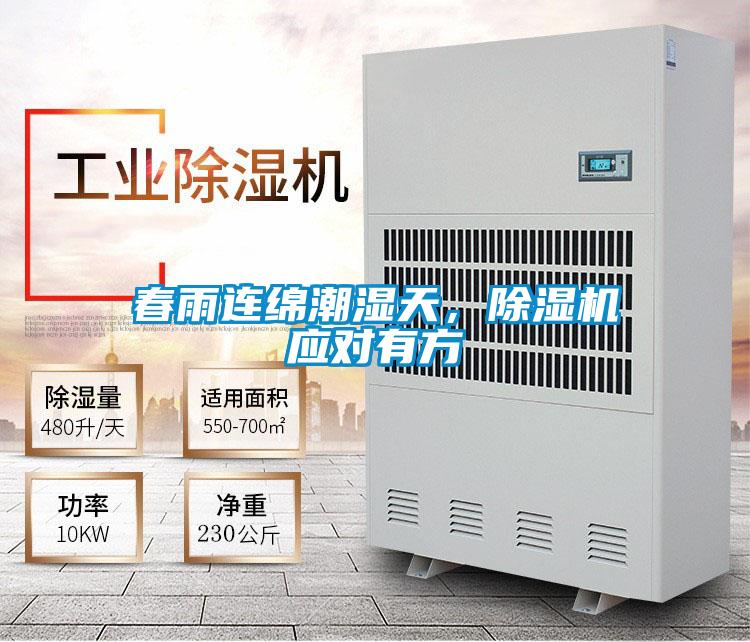 春雨連綿潮濕天，除濕機應對有方