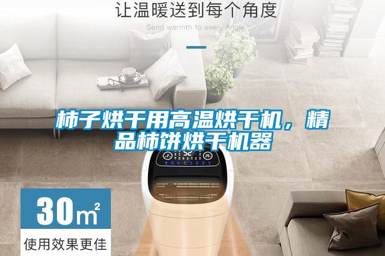 柿子烘干用高溫烘干機，精品柿餅烘干機器