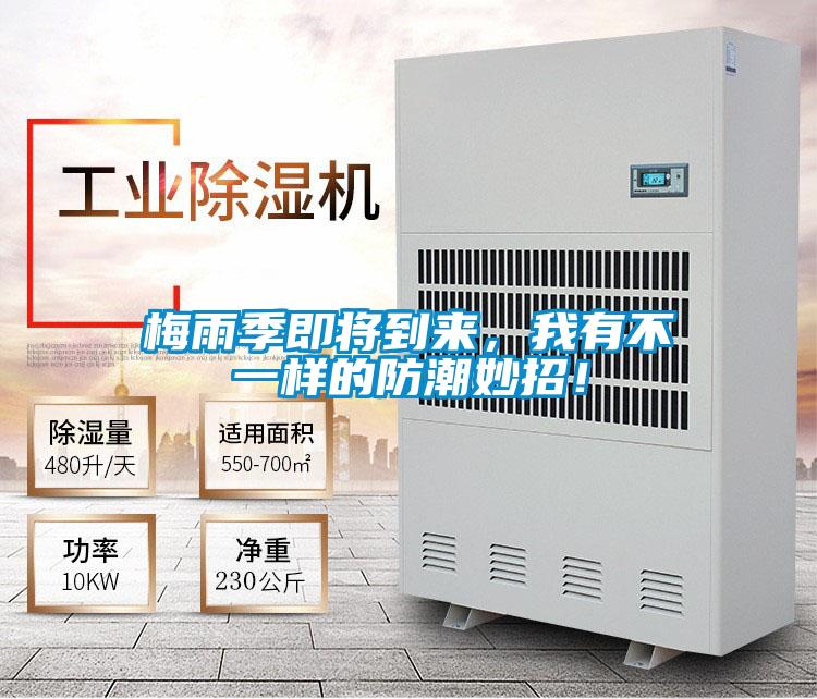 梅雨季即將到來，我有不一樣的防潮妙招！