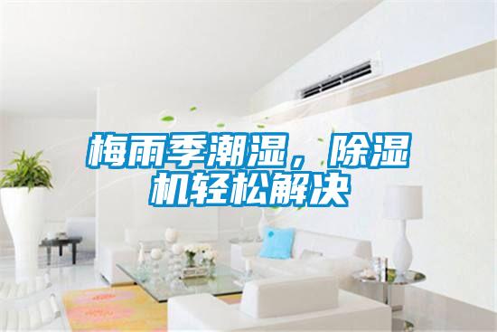 梅雨季潮濕，除濕機(jī)輕松解決