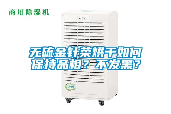 無硫金針菜烘干如何保持品相？不發(fā)黑？