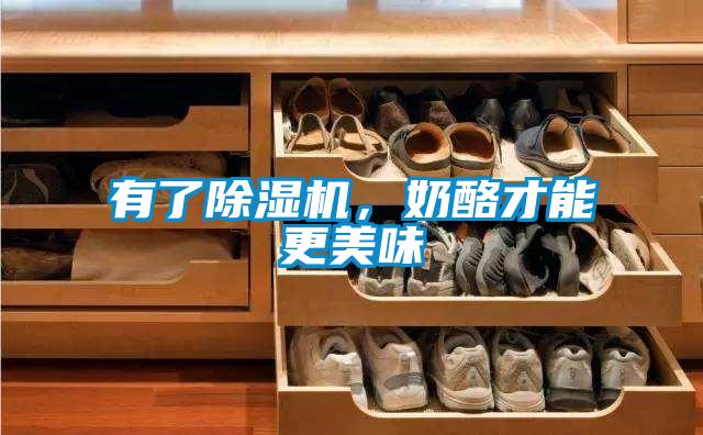 有了除濕機，奶酪才能更美味