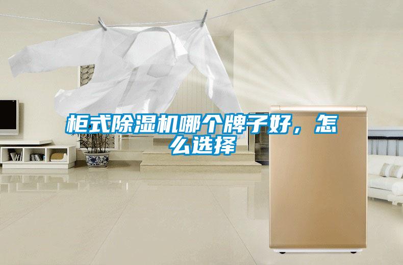 柜式除濕機(jī)哪個(gè)牌子好，怎么選擇