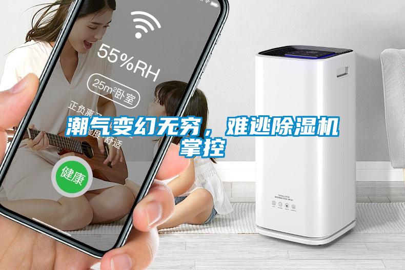 潮氣變幻無窮，難逃除濕機掌控