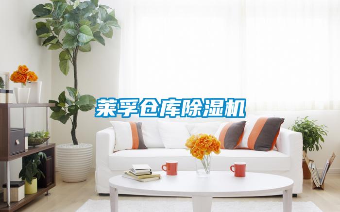 萊孚倉庫除濕機(jī)