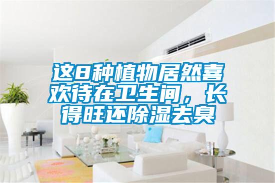 這8種植物居然喜歡待在衛生間，長得旺還除濕去臭