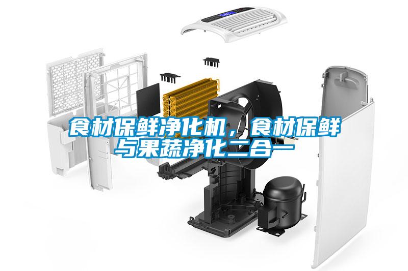 食材保鮮凈化機(jī)，食材保鮮與果蔬凈化二合一