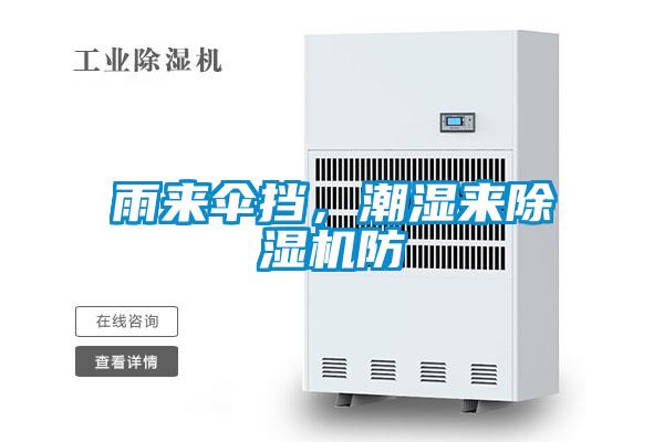 雨來傘擋,潮濕來除濕機防