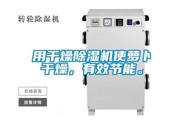 用干燥除濕機(jī)使蘿卜干燥,有效節(jié)能。