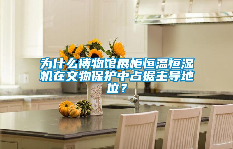 為什么博物館展柜恒溫恒濕機在文物保護中占據主導地位?