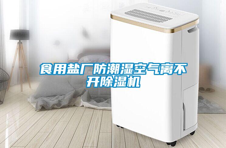 食用鹽廠防潮濕空氣離不開除濕機(jī)