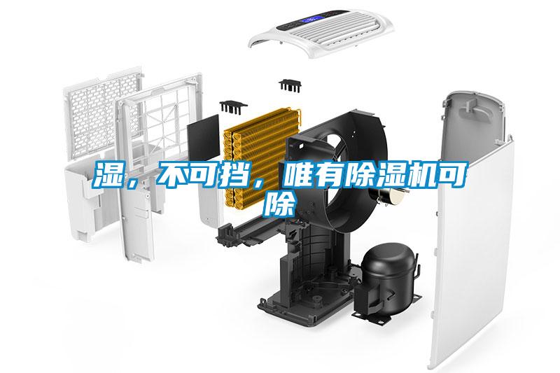 濕，不可擋，唯有除濕機可除