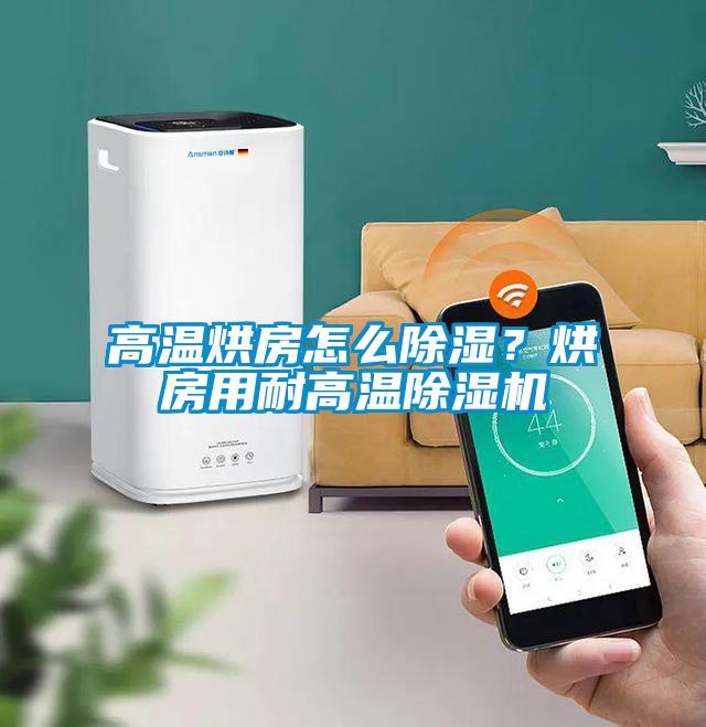 高溫烘房怎么除濕？烘房用耐高溫除濕機(jī)