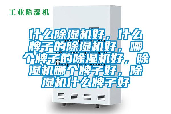 什么除濕機好，什么牌子的除濕機好，哪個牌子的除濕機好，除濕機哪個牌子好，除濕機什么牌子好