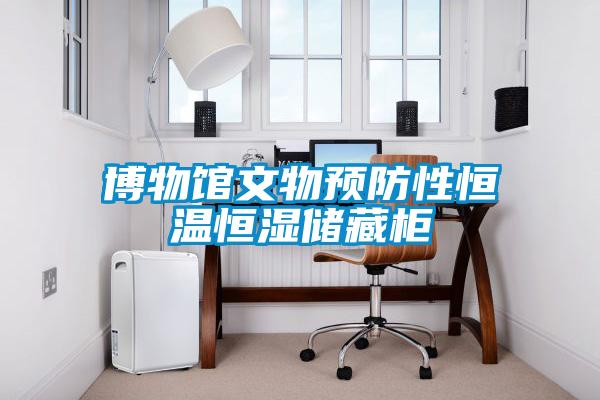 博物館文物預(yù)防性恒溫恒濕儲藏柜