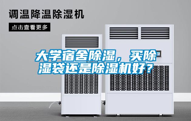 大學(xué)宿舍除濕，買(mǎi)除濕袋還是除濕機(jī)好？