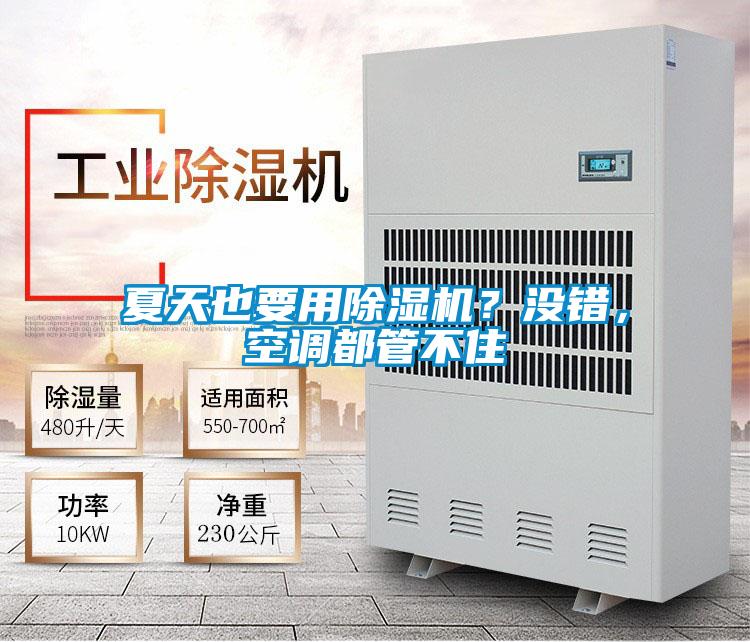 夏天也要用除濕機？沒錯，空調都管不住