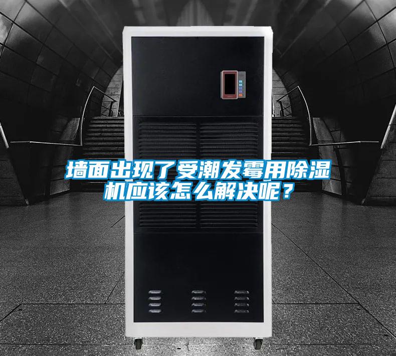 墻面出現了受潮發霉用除濕機應該怎么解決呢？