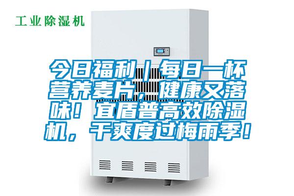 今日福利｜每日一杯營(yíng)養(yǎng)麥片，健康又落味！宜盾普高效除濕機(jī)，干爽度過梅雨季！