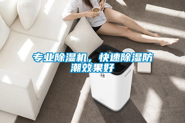 專業除濕機，快速除濕防潮效果好