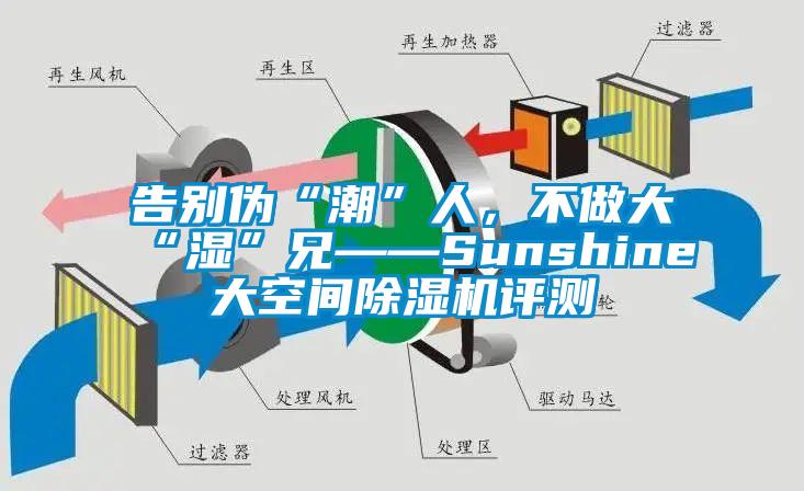 告別偽“潮”人，不做大“濕”兄——Sunshine大空間除濕機評測