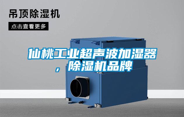 仙桃工業(yè)超聲波加濕器，除濕機(jī)品牌