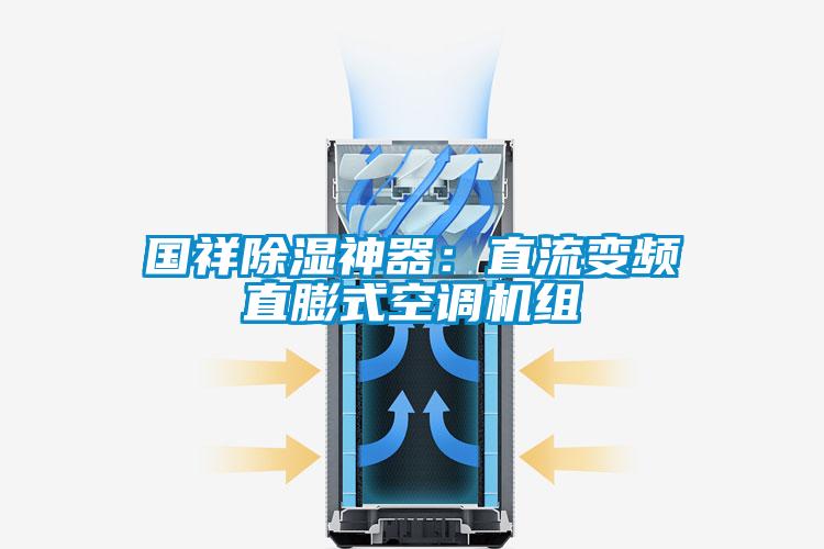 國(guó)祥除濕神器:直流變頻直膨式空調(diào)機(jī)組