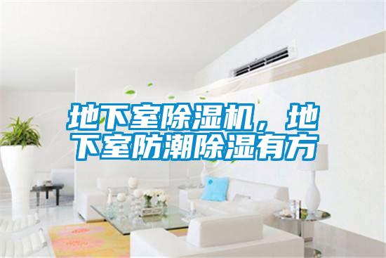 地下室除濕機，地下室防潮除濕有方