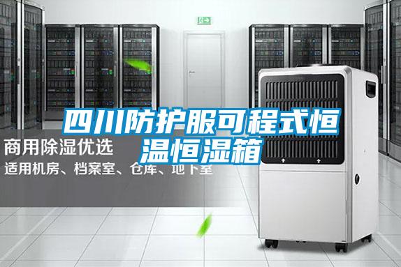 四川防護服可程式恒溫恒濕箱