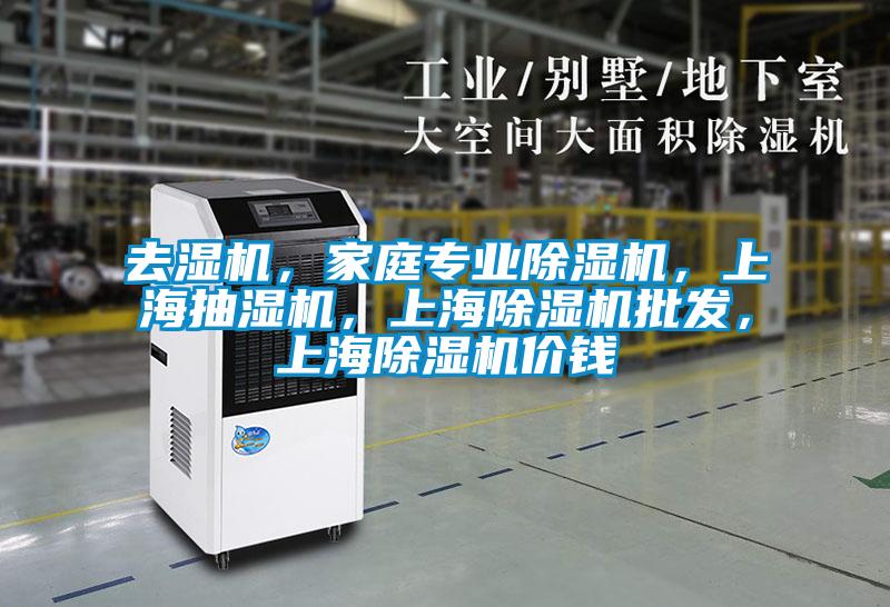 去濕機,家庭專業(yè)除濕機,上海抽濕機,上海除濕機批發(fā),上海除濕機價錢