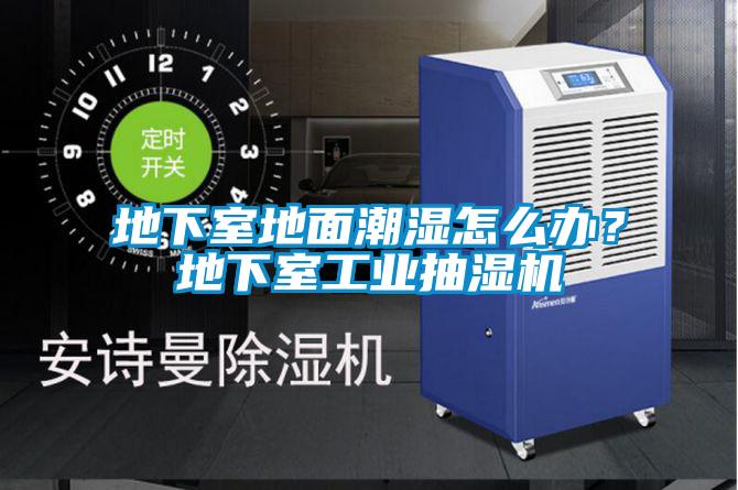 地下室地面潮濕怎么辦？地下室工業(yè)抽濕機(jī)