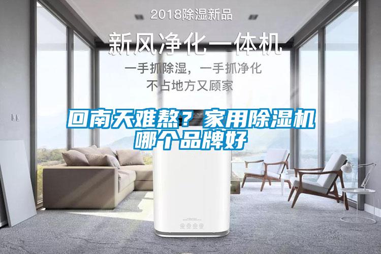 回南天難熬？家用除濕機(jī)哪個(gè)品牌好